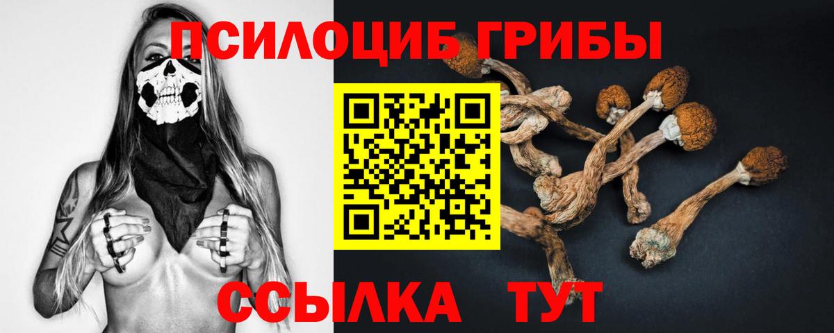 Галлюциногенные грибы MAGIC MUSHROOMS Выкса